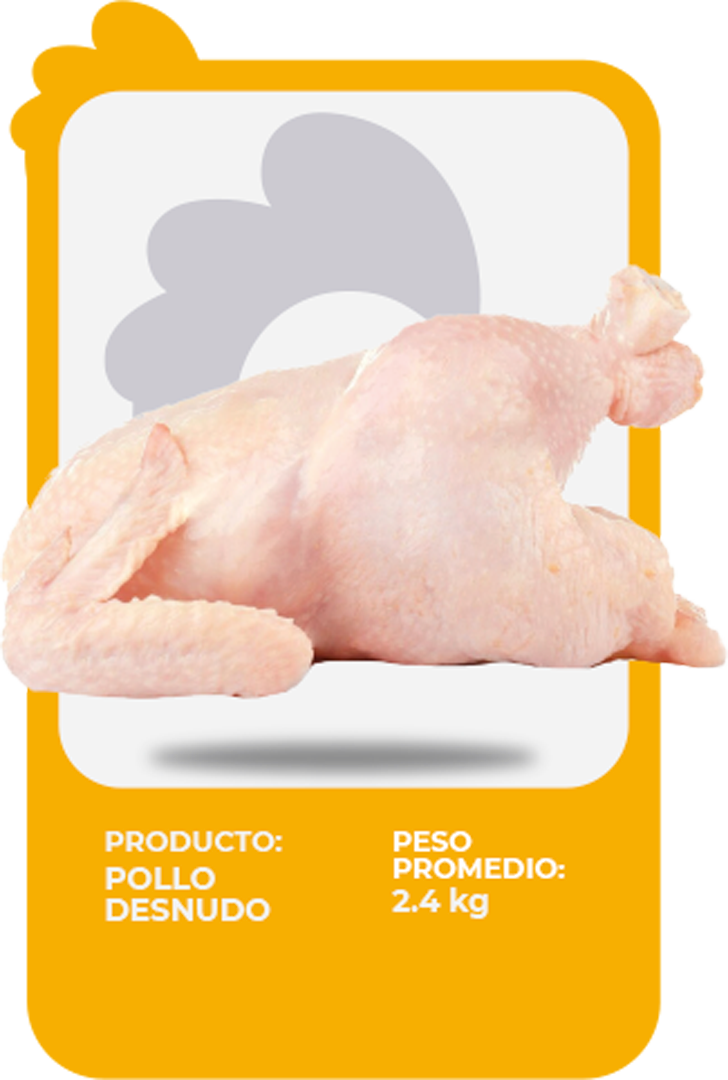 Pollo Desnudo CriPollo