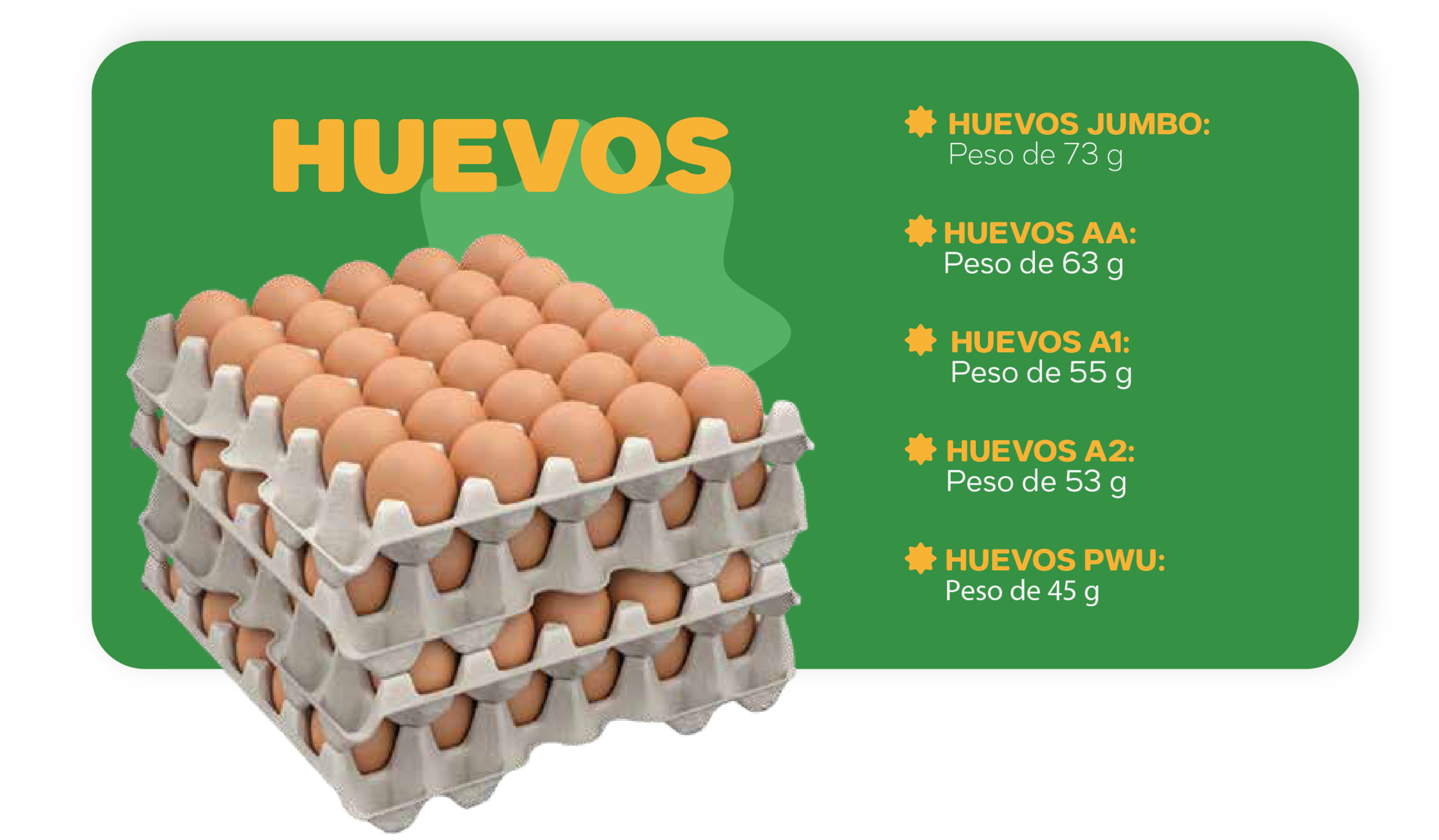 Huevos del Día